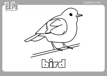 Bird Coloring Page